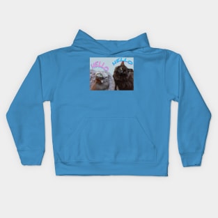 Hello Hello Cats Kids Hoodie